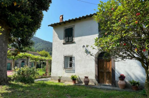 Tuscany Charme Coselli Restored